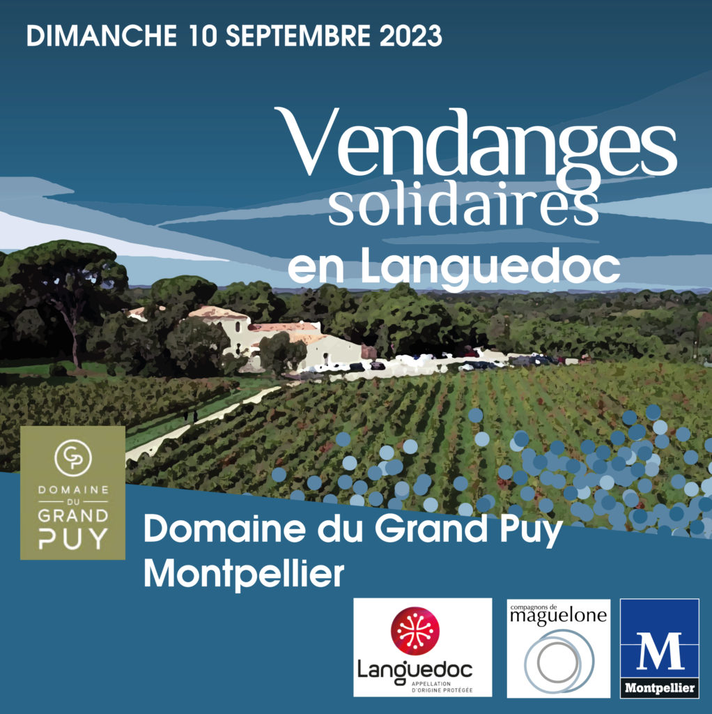 Vendanges Domaine du Grand Puy