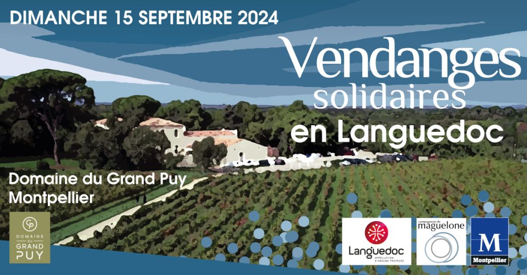 vendanges solidaires