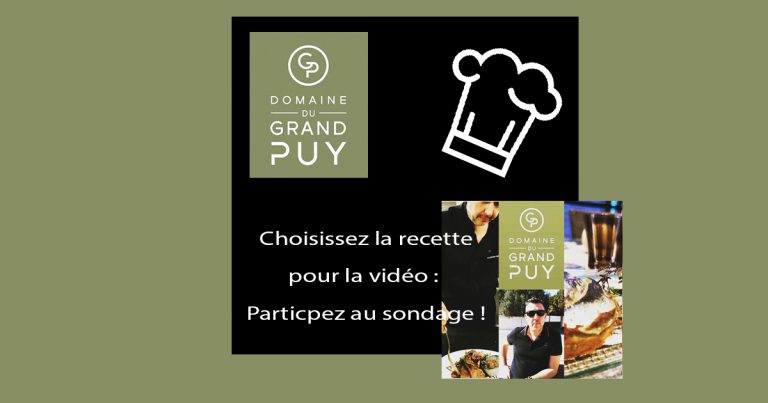 Sondage recette Domaine Du Grand Puy